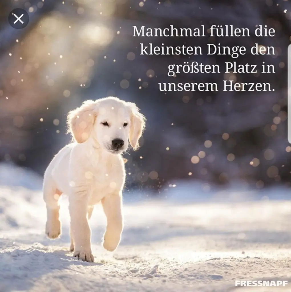 Andachtsbild von Unbekannt