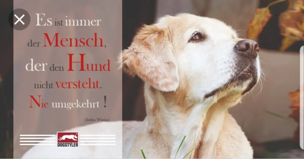 Andachtsbild von Unbekannt