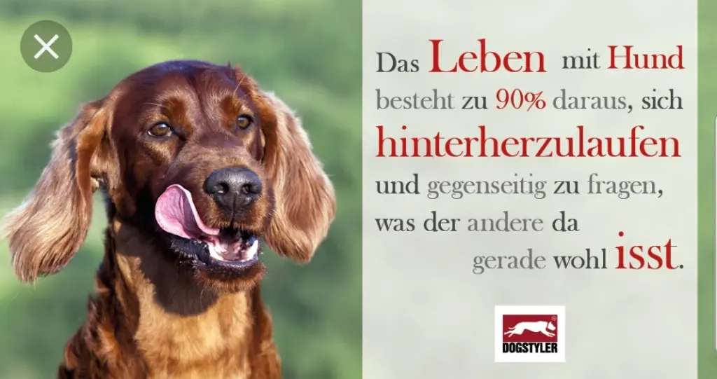 Andachtsbild von Unbekannt