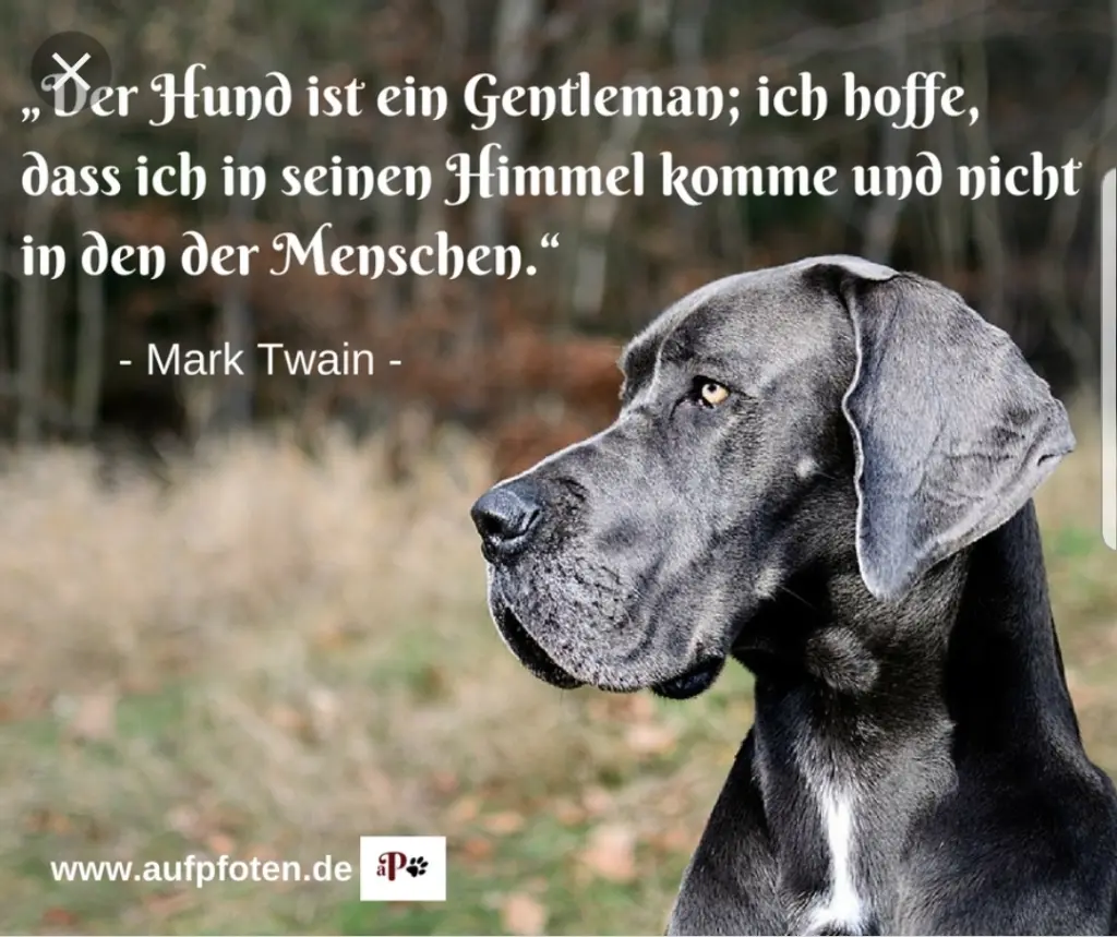 Andachtsbild von Unbekannt