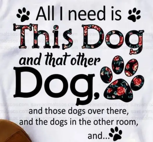 Andachtsbild von Unbekannt