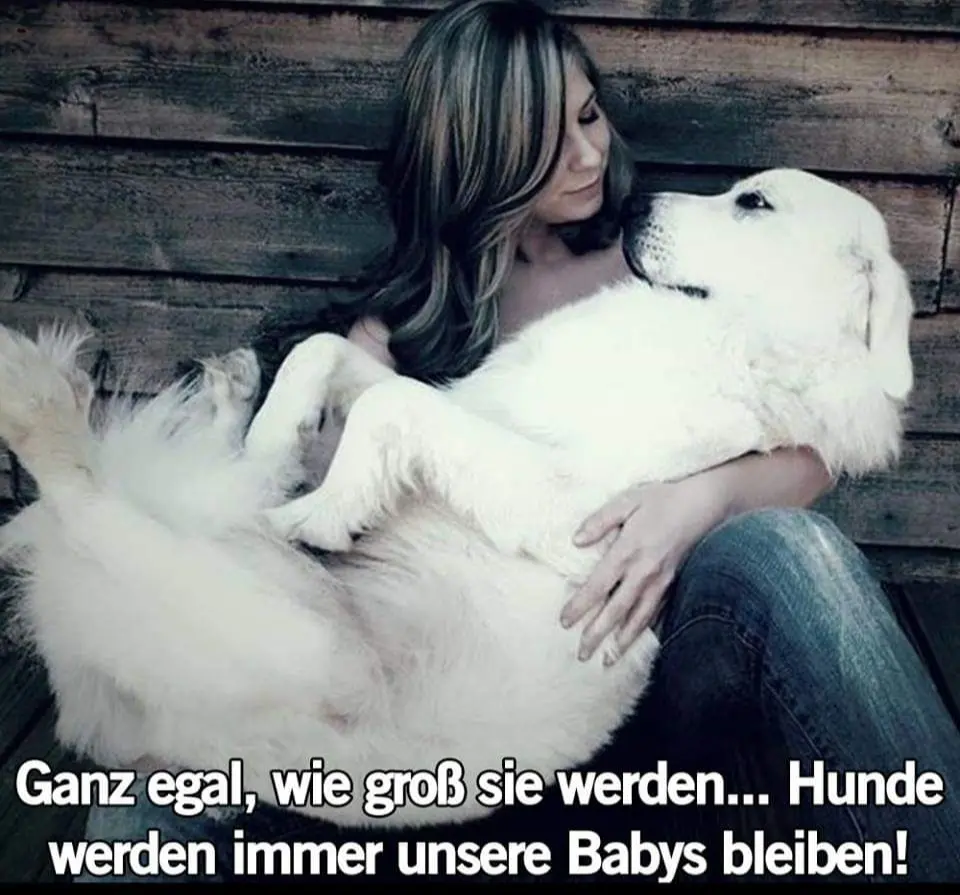 Andachtsbild von Unbekannt