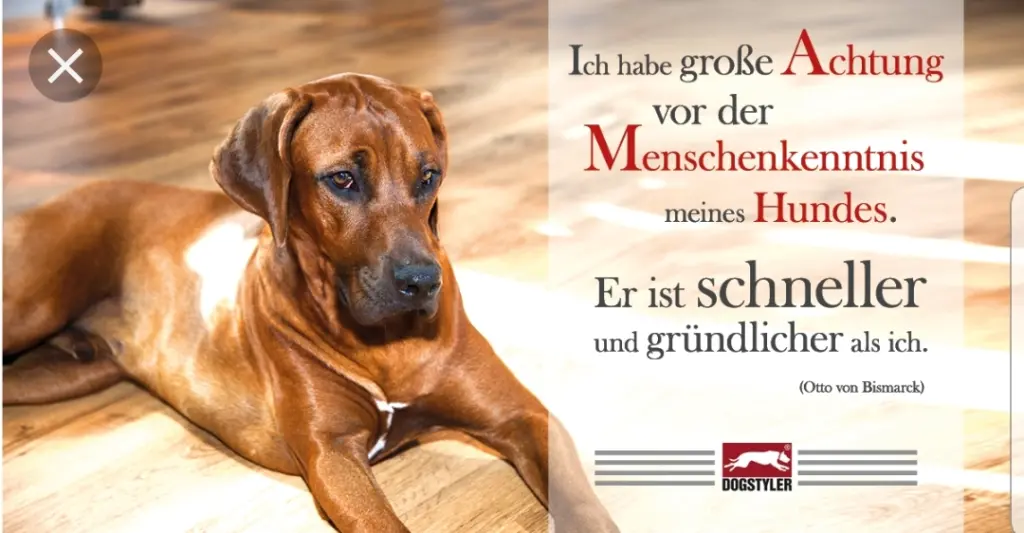 Andachtsbild von Unbekannt