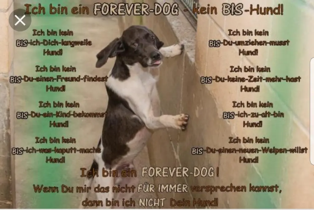 Andachtsbild von Unbekannt