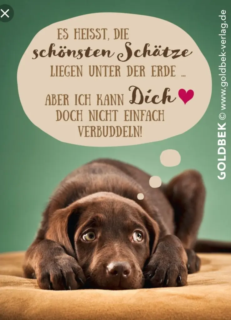 Andachtsbild von Unbekannt