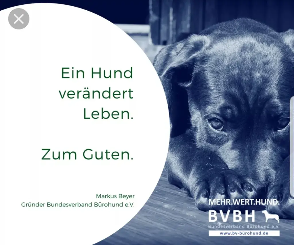 Andachtsbild von Unbekannt