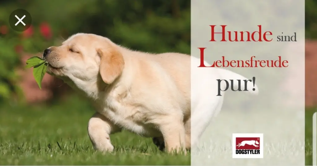 Andachtsbild von Unbekannt