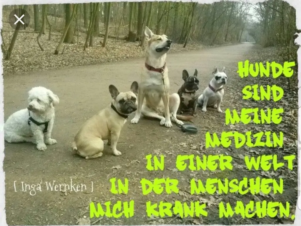 Andachtsbild von Unbekannt