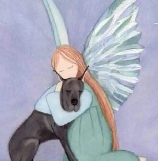 Andachtsbild von Unbekannt