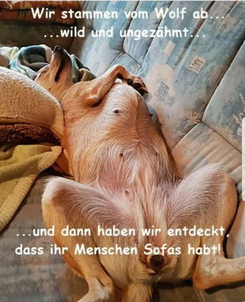 Andachtsbild von Unbekannt