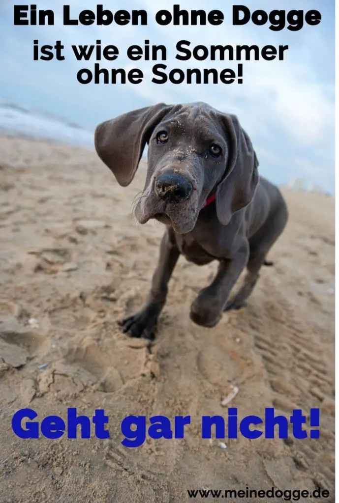 Andachtsbild von Unbekannt