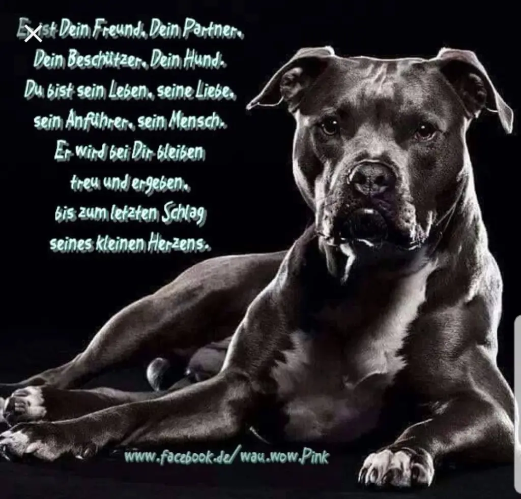 Andachtsbild von Unbekannt