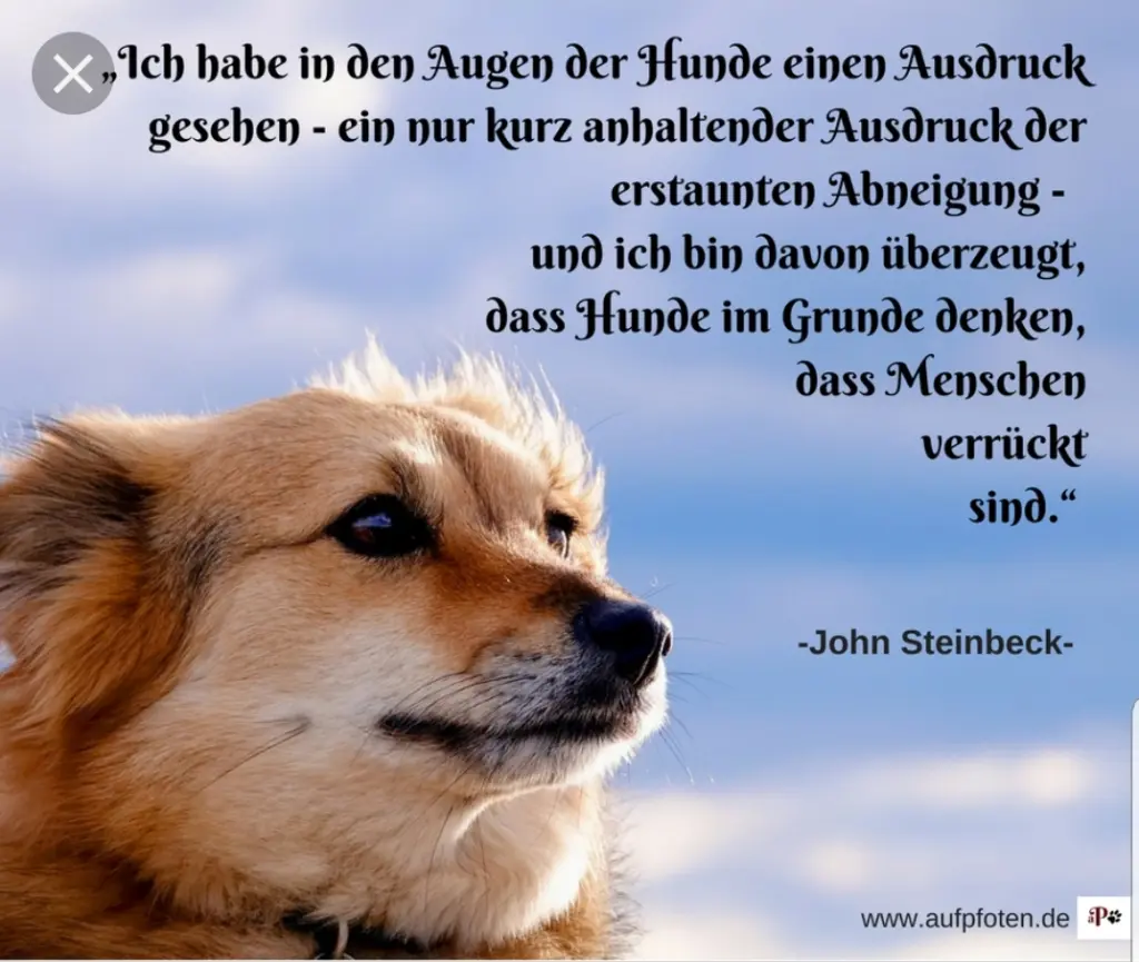 Andachtsbild von Unbekannt