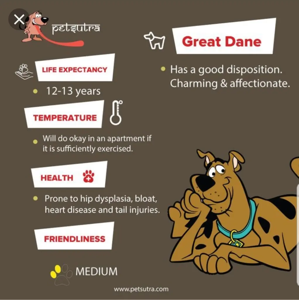 Andachtsbild von Unbekannt