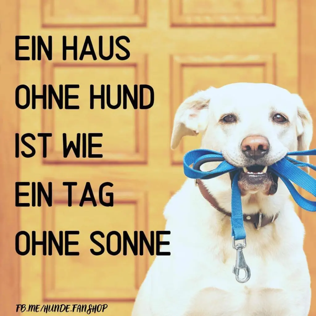 Andachtsbild von Unbekannt