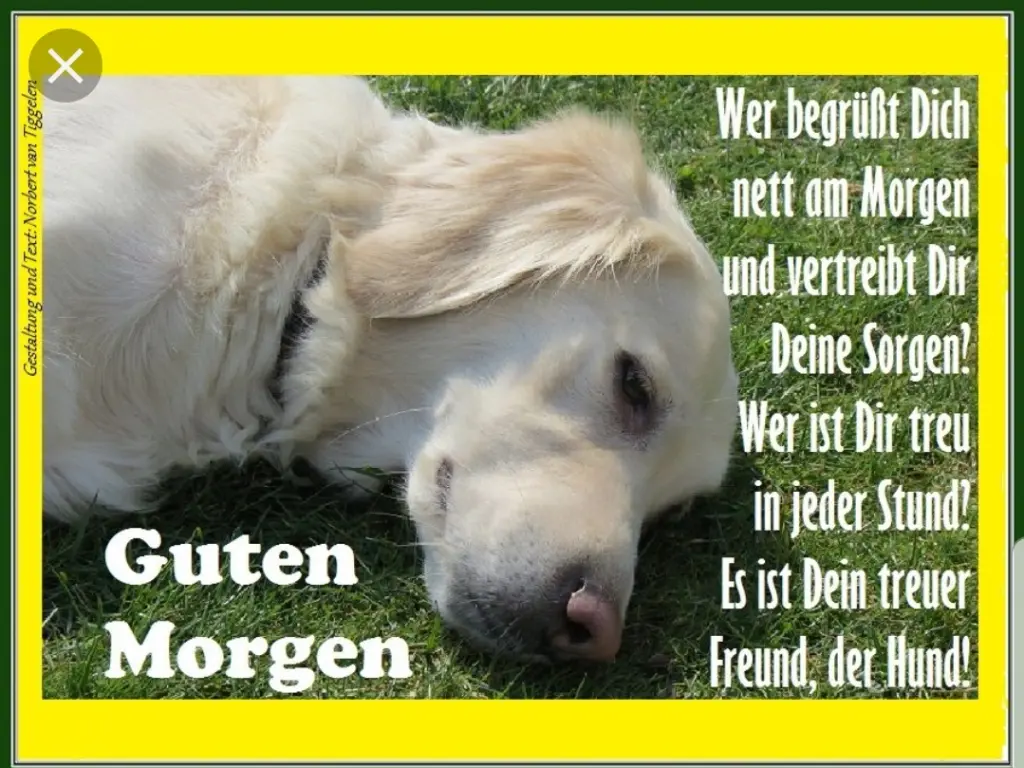 Andachtsbild von Unbekannt