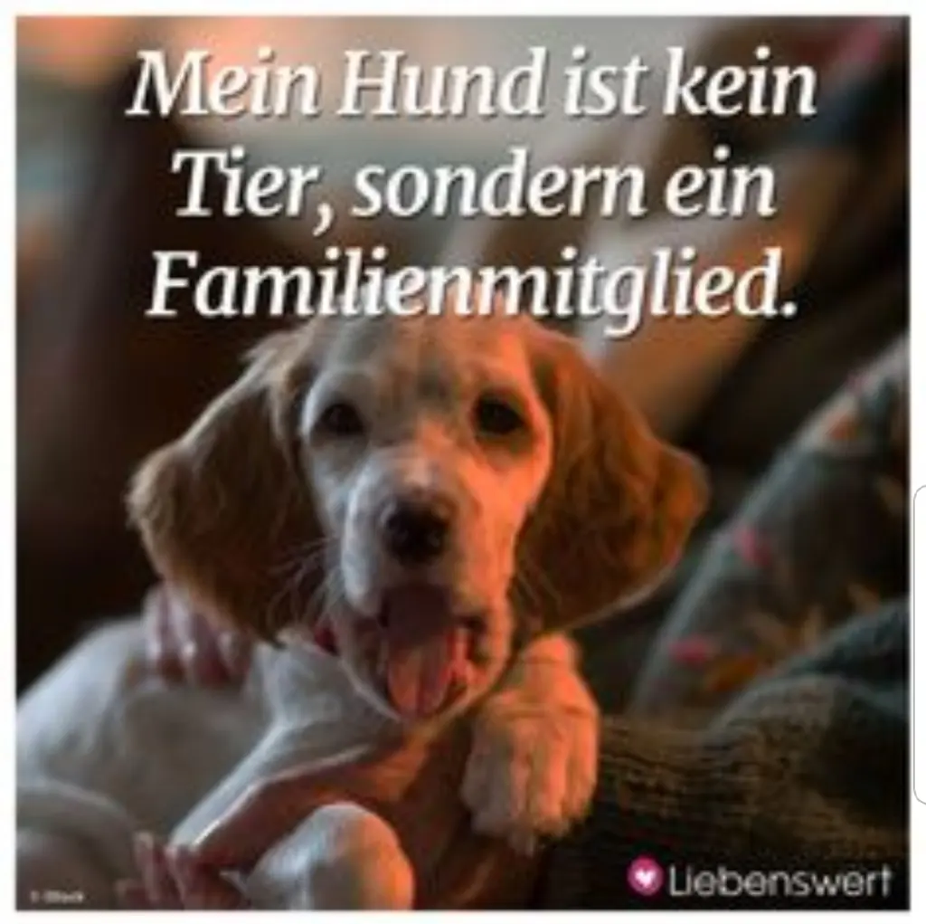 Andachtsbild von Unbekannt