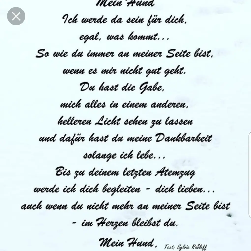 Andachtsbild von Unbekannt