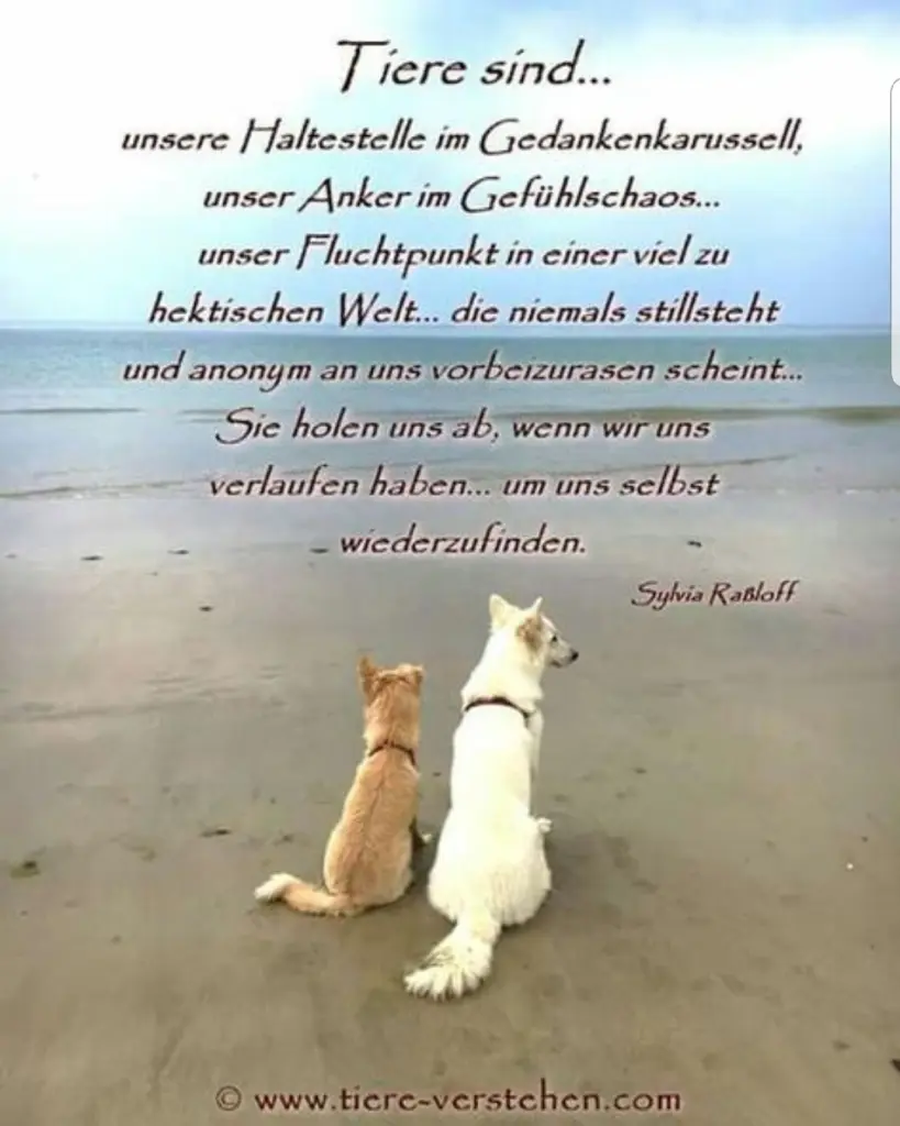 Andachtsbild von Unbekannt