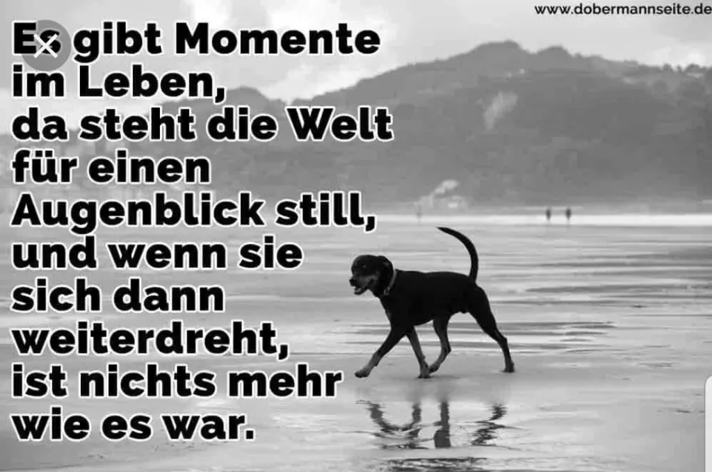 Andachtsbild von Unbekannt