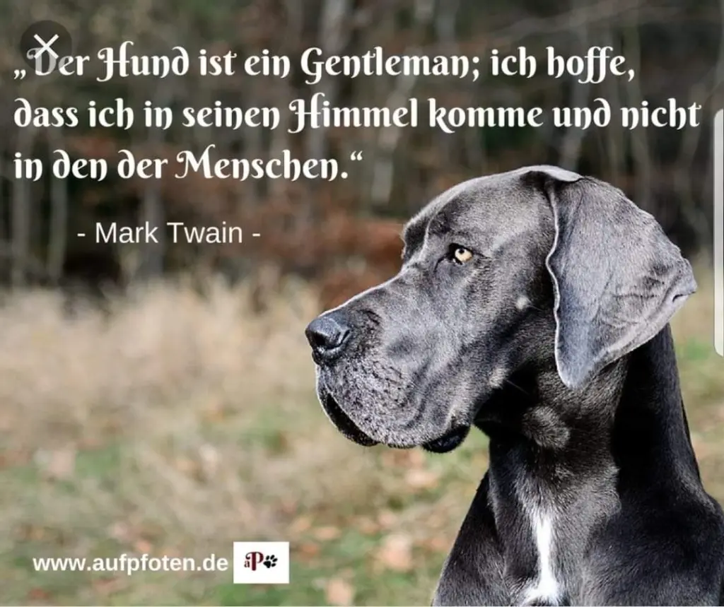 Andachtsbild von Caro