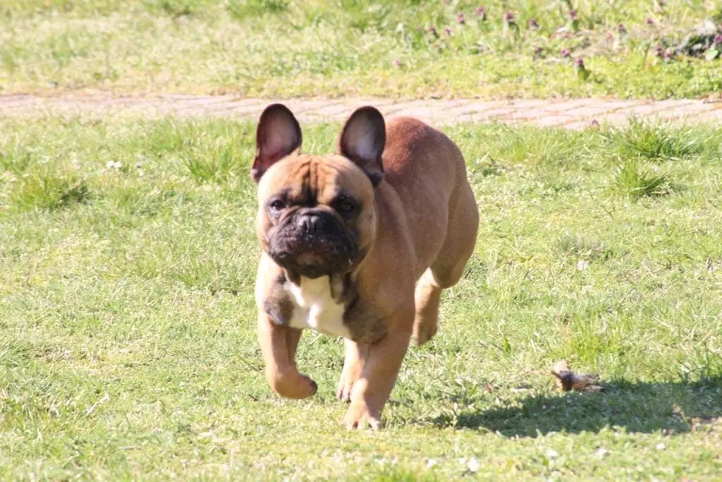 Bild von Louis