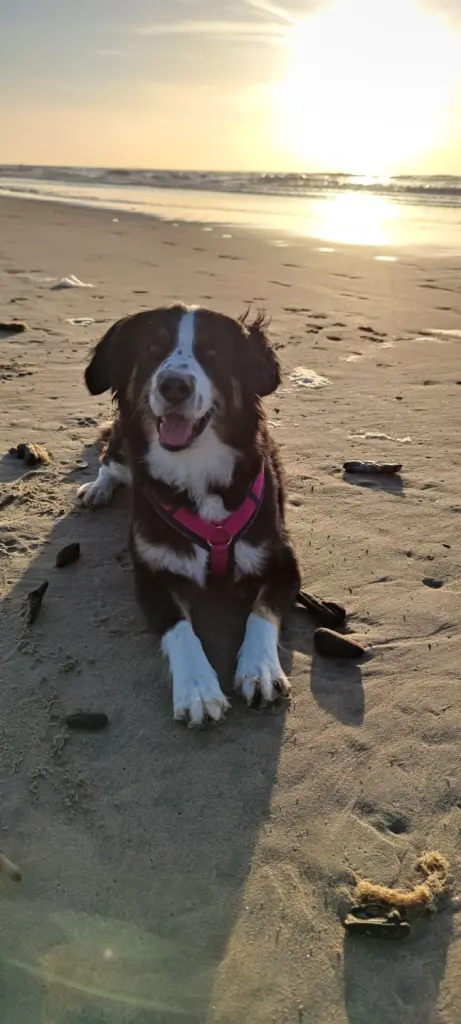Sie liebte den Strand und das Wasser