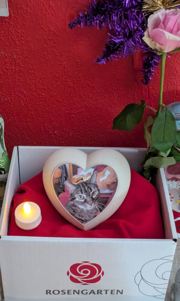 Da konnten wir Hizumi vom Rosengarten nach Hause holen