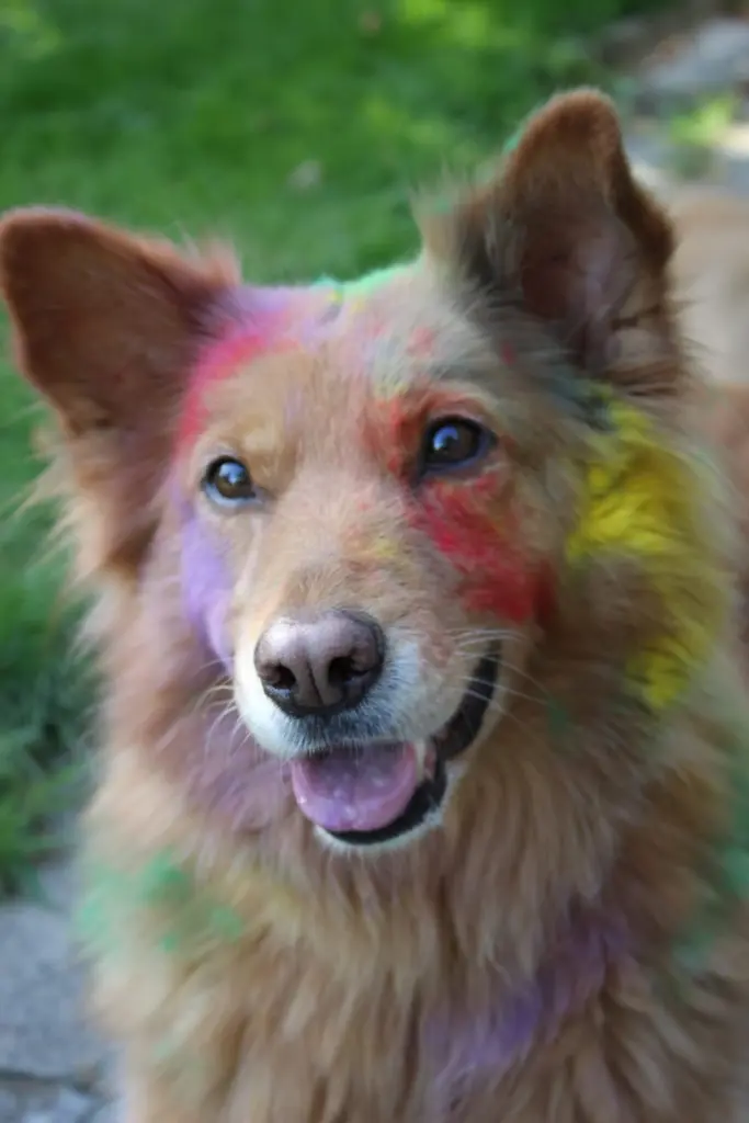 Bild von Nala