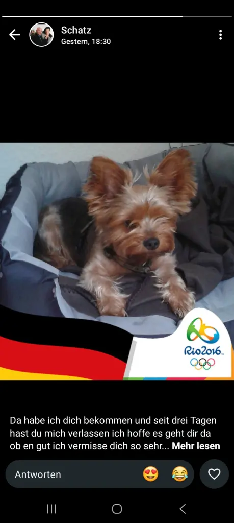 Image from Gismo