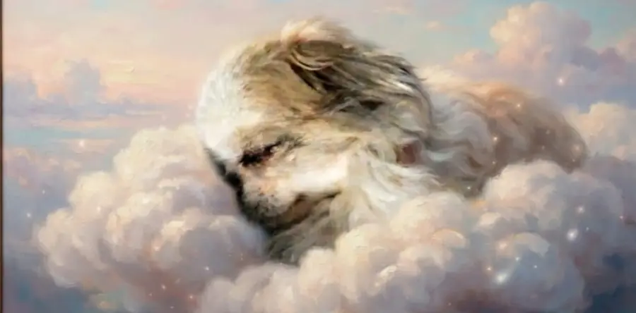 Bild von Lucky