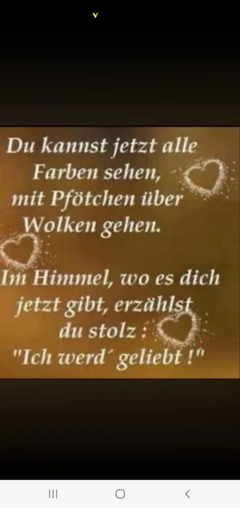 Bild von Lucky