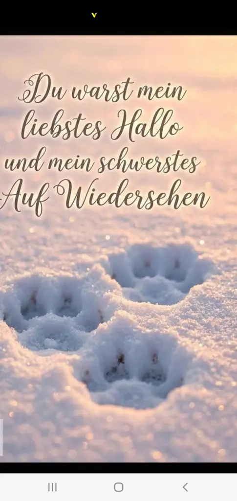 Bild von Lucky