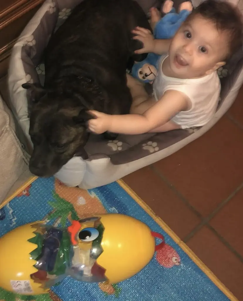 Andachtsbild von Aurora D’Agostino Aurora D’Agostino