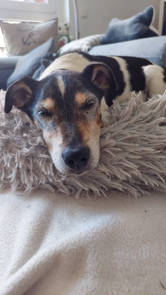 Bild von Max