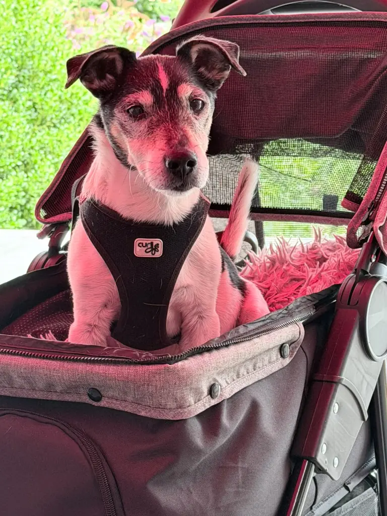 Bild von Max