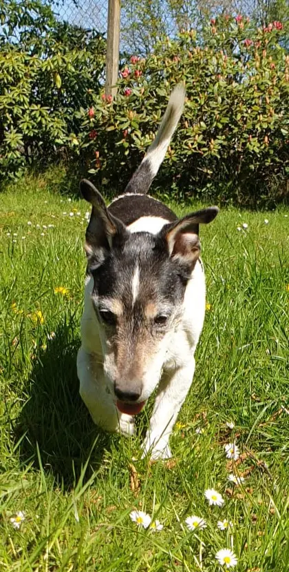Bild von Max