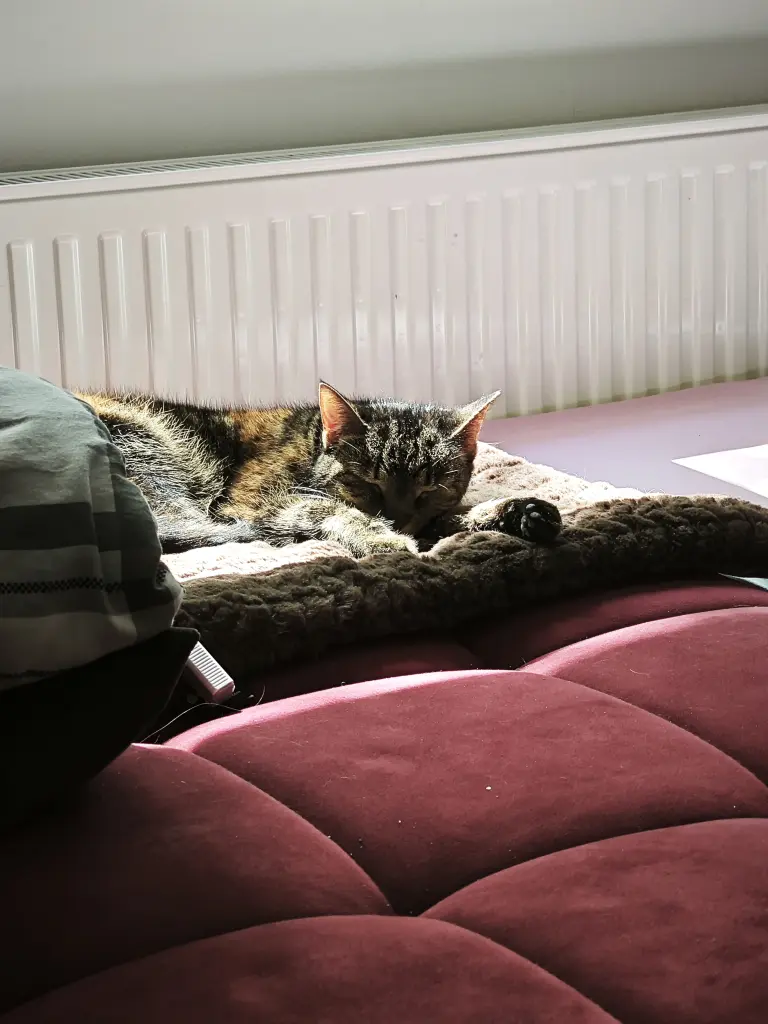 Bild von Lana