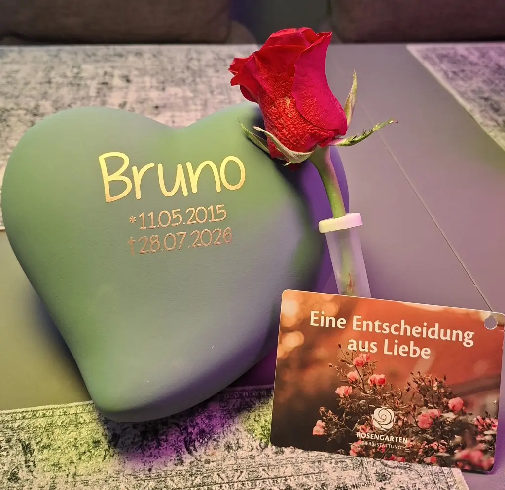 Bild von Bruno