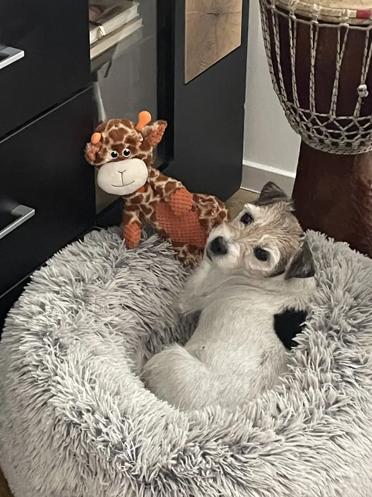 Image from Tilly