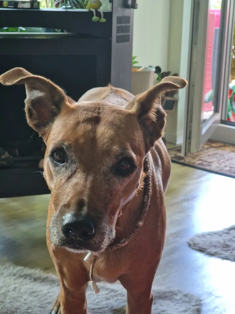 Bild von Bella