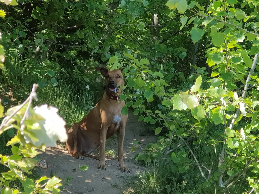 Bild von Bella