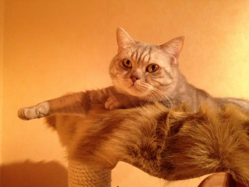 Bild von Mabel