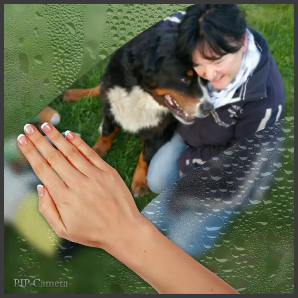 Condolence image of Dorin mit Mephisto im Herzen 
