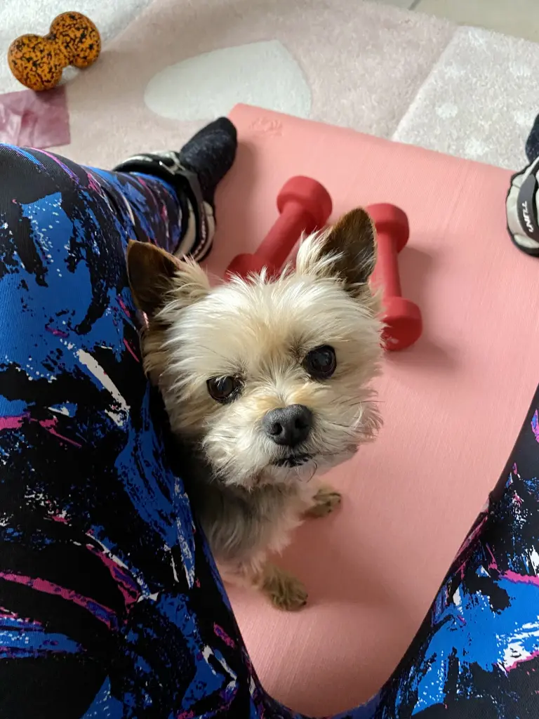 Bild von Freddy