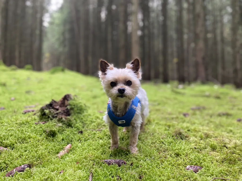Bild von Freddy
