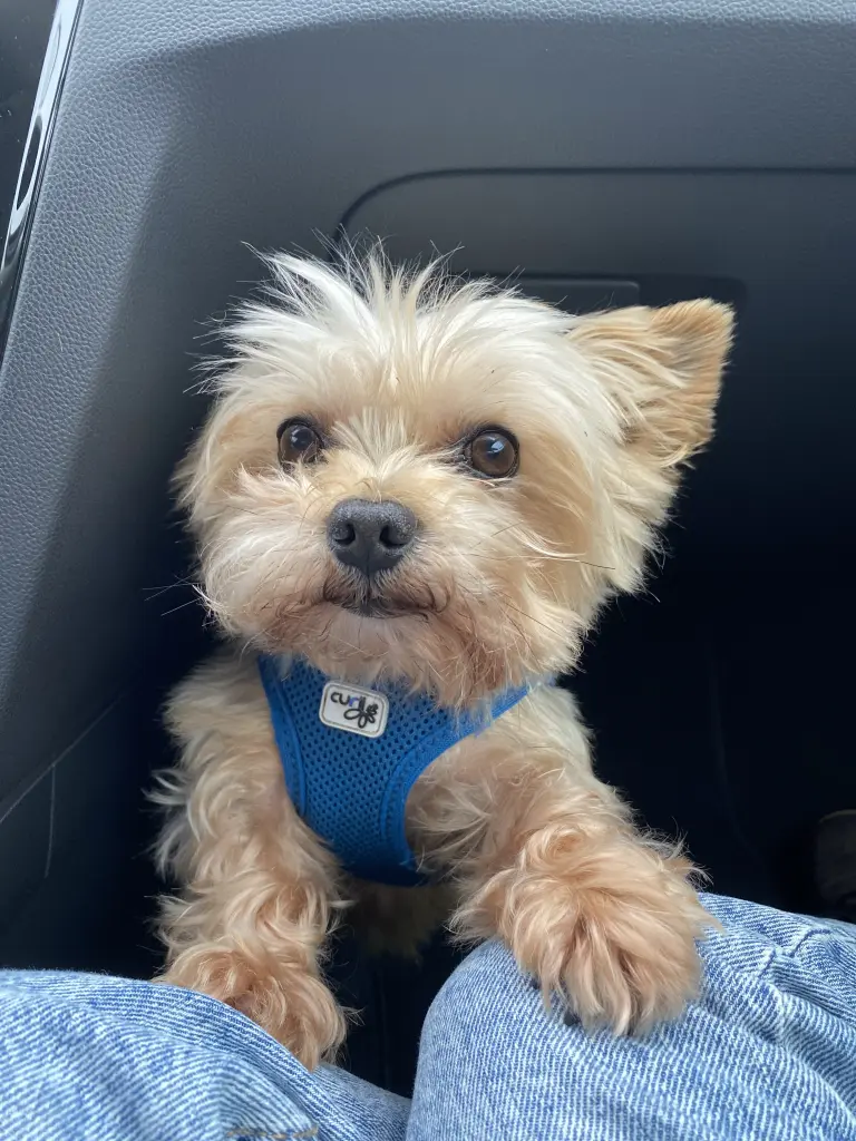 Bild von Freddy