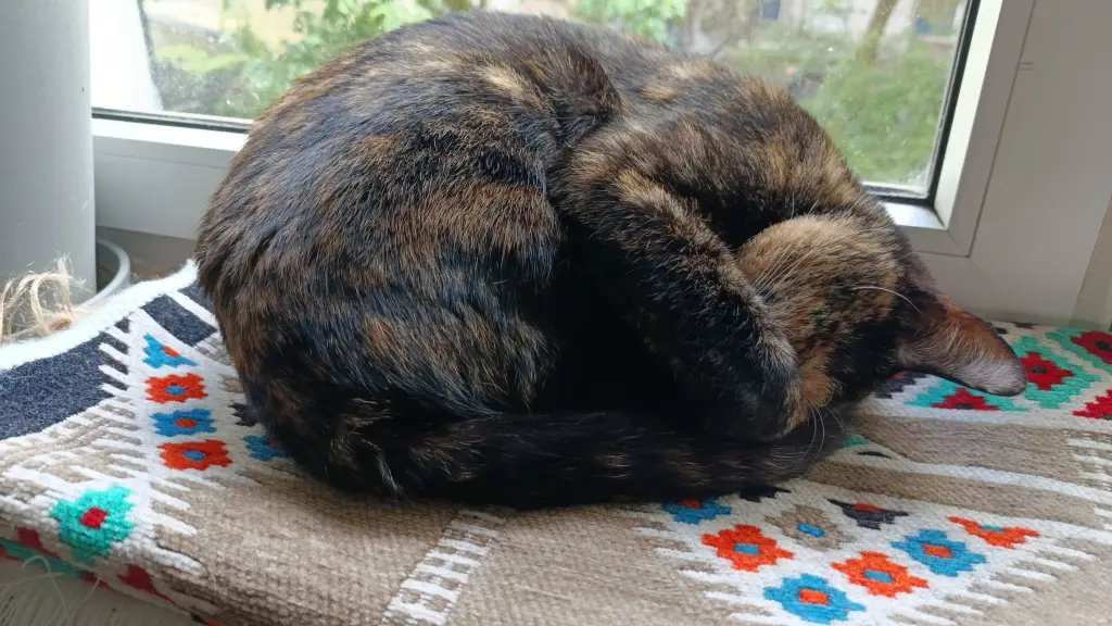 Bild von Maja
