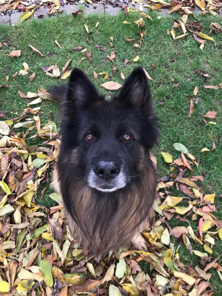 Condolence image of Annika