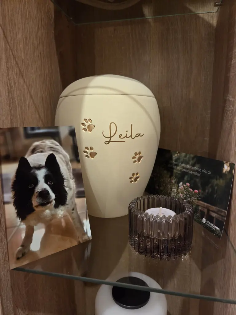 Image from Leila